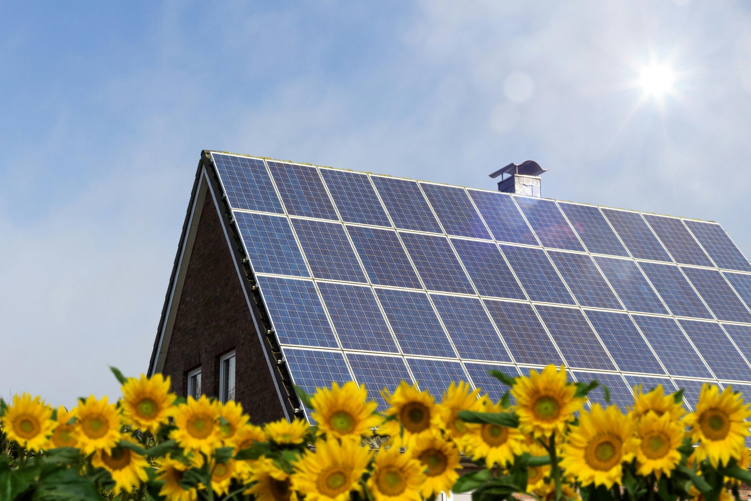 découvrez les prix des panneaux photovoltaïques et comment ils peuvent transformer votre maison en une source d'énergie renouvelable. comparez les coûts, les aides disponibles et les avantages écologiques de l'installation de panneaux solaires.