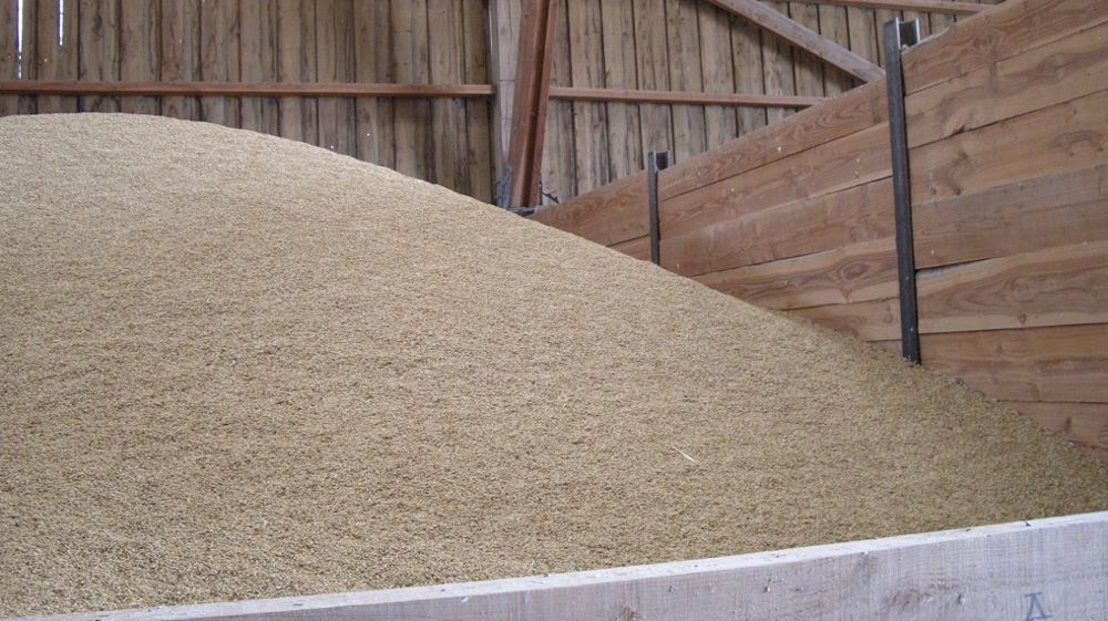 découvrez les prix du stockage des céréales et optimisez la gestion de vos récoltes. comparez les offres et trouvez la solution de stockage adaptée à vos besoins agricoles pour garantir la qualité de vos produits.