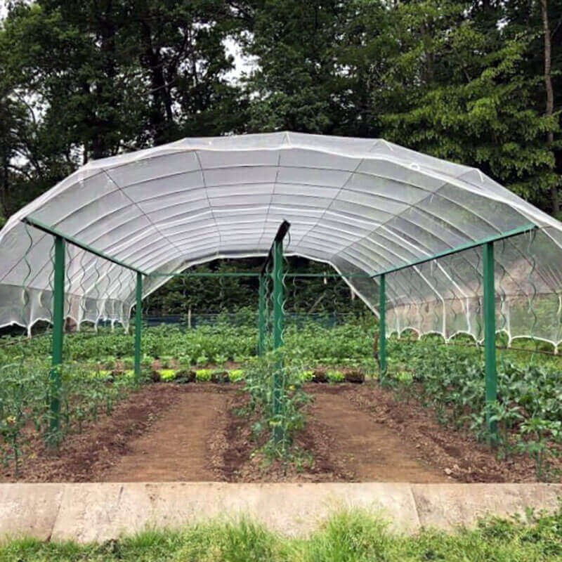 découvrez comment l'ombrage pour serre peut optimiser la croissance de vos plantes en régulant la lumière et la température. apprenez les meilleures techniques et matériaux pour créer un environnement idéal dans votre serre.