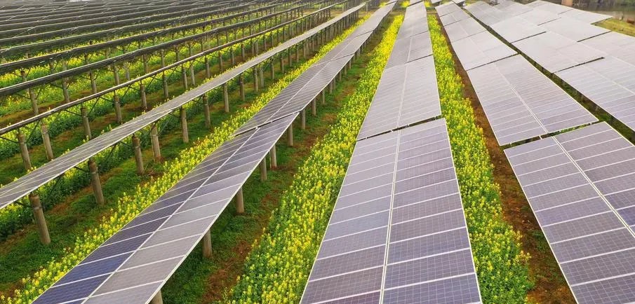 découvrez comment maximiser vos profits grâce à des partenariats stratégiques dans le secteur solaire. apprenez à tirer parti des opportunités offertes par les énergies renouvelables et à construire des alliances rentables pour un avenir durable.