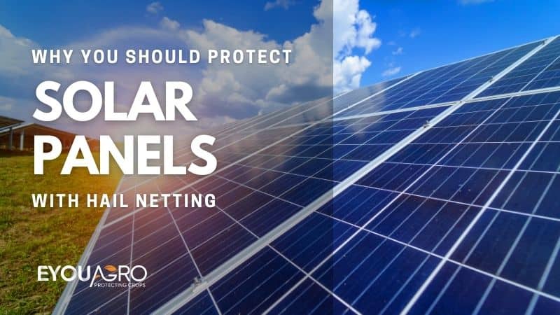 découvrez comment protéger vos panneaux solaires contre la grêle grâce à des solutions efficaces et durables. assurez la longévité et l'efficacité de votre installation photovoltaïque tout en préservant votre investissement.