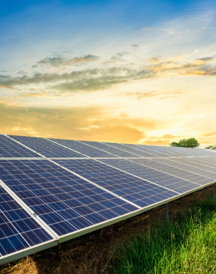 découvrez les avantages des publicités sur panneaux solaires pour promouvoir vos produits écologiques. attirez l'attention sur vos services tout en contribuant à une planète plus verte avec des solutions publicitaires innovantes et durables.