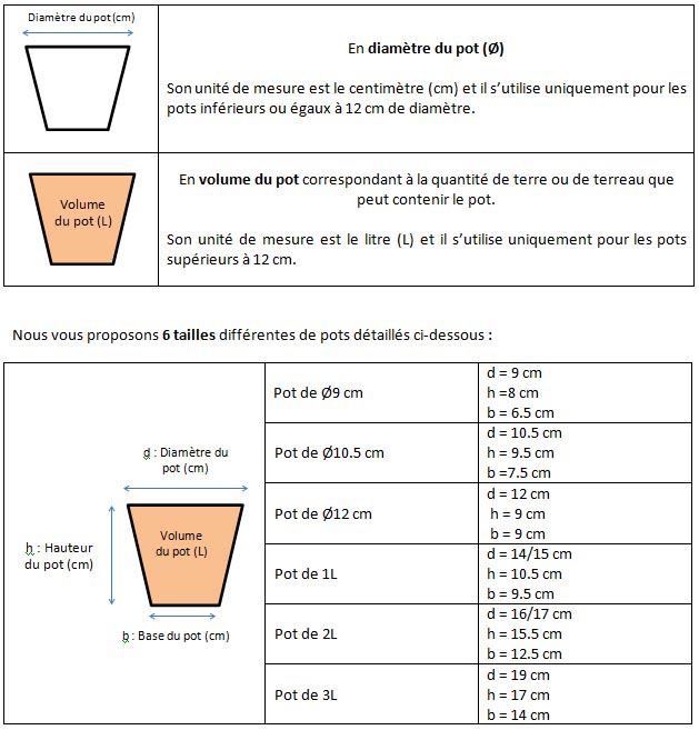 découvrez tout ce qu'il faut savoir sur la quantité de terre, son importance pour l'agriculture, l'environnement et la construction. explorez nos conseils pour optimiser l'utilisation de la terre dans vos projets.