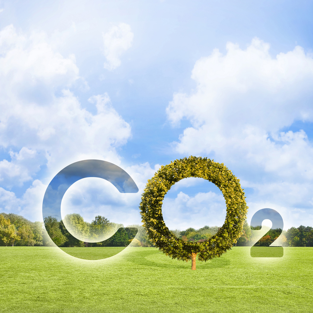 découvrez des stratégies efficaces pour réduire l'empreinte carbone de votre entreprise et contribuer à la lutte contre le changement climatique. adoptez des pratiques durables et améliorez votre impact environnemental tout en optimisant vos coûts.