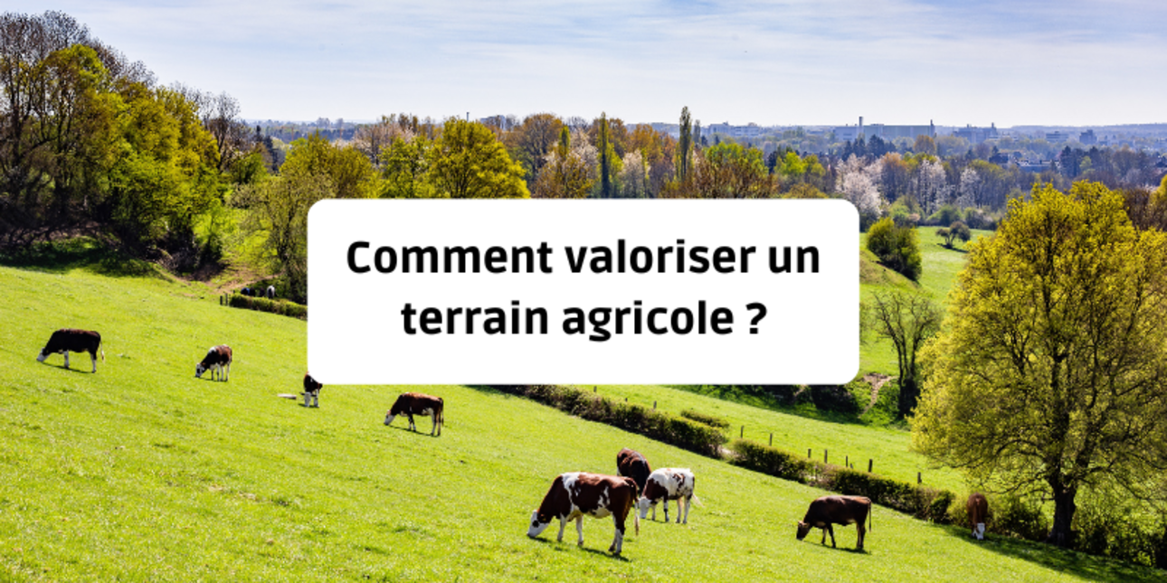 découvrez des stratégies efficaces pour rentabiliser votre terrain agricole. optimisez vos ressources et maximisez vos profits grâce à des méthodes innovantes et durables adaptées à votre exploitation.