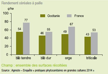 découvrez comment maximiser la rentabilité de vos cultures céréalières grâce à des stratégies efficaces, des conseils d'experts et des analyses de marché. optimisez vos rendements et améliorez la gestion de vos exploitations agricoles.