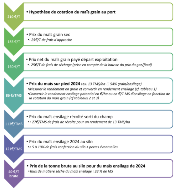 découvrez comment optimiser la rentabilité de vos cultures céréalières grâce à des techniques agronomiques avancées, des conseils pratiques et des outils d'analyse de marché adaptés. maximisez vos revenus tout en préservant la qualité de vos récoltes.