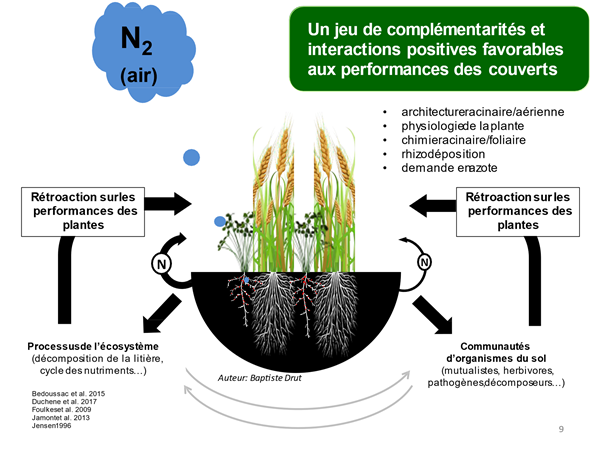 découvrez tout ce qu'il faut savoir sur la rentabilité des céréales : analyses de marché, facteurs influençant les prix et conseils pour maximiser vos profits. optimisez votre production céréalière grâce à des stratégies adaptées aux enjeux actuels.