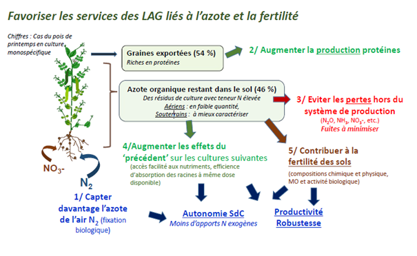 découvrez des stratégies efficaces pour maximiser la rentabilité de vos cultures de céréales. profitez de conseils d'experts, d'analyses de marché et de techniques agronomiques innovantes pour améliorer vos rendements et optimiser vos profits.