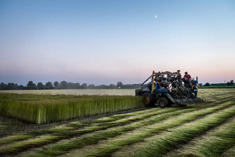 découvrez les clés de la rentabilité agricole : analyses, stratégies et conseils pour maximiser vos profits tout en respectant l'environnement. profitez de notre expertise pour optimiser vos cultures et améliorer la gestion de votre exploitation.