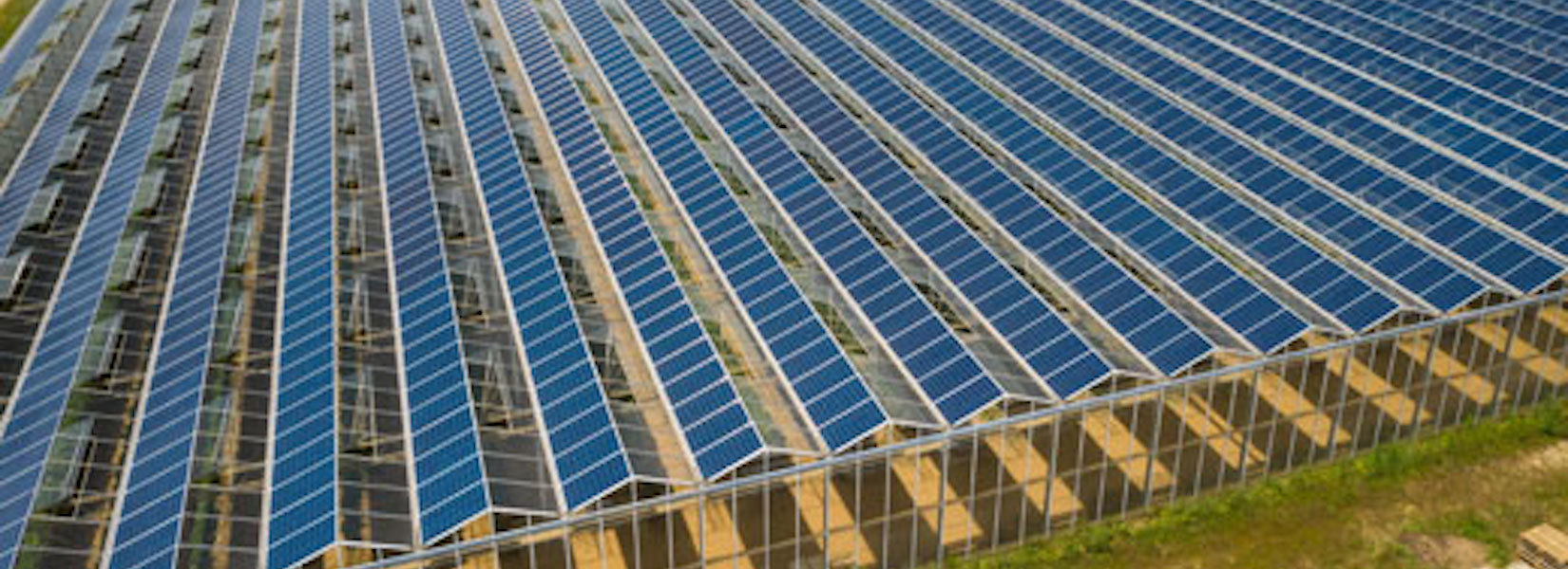découvrez comment la rentabilité des installations photovoltaïques agricoles peut transformer votre exploitation. optimisez vos revenus grâce à l'énergie solaire, réduisez vos coûts d'exploitation et contribuez à un avenir durable.