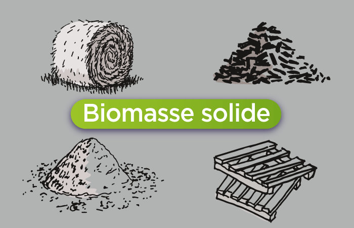 découvrez comment la révolution énergétique durable transforme notre futur en alliant innovation, respect de l'environnement et efficacité. explorez les solutions et technologies qui façonnent une énergie propre et renouvelable pour un monde meilleur.