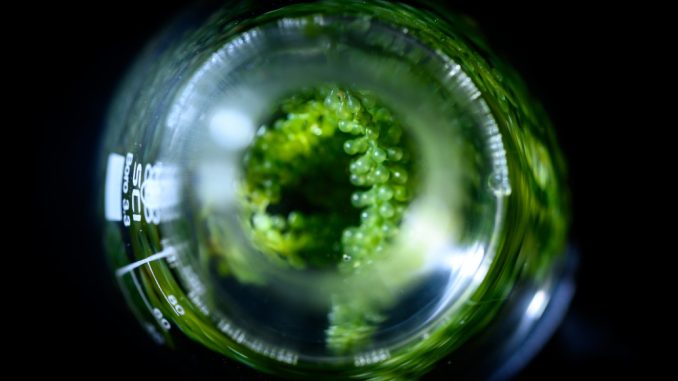 découvrez comment la révolution énergétique durable transforme notre monde en adoptant des solutions innovantes et respectueuses de l'environnement pour un avenir énergétique responsable et durable.