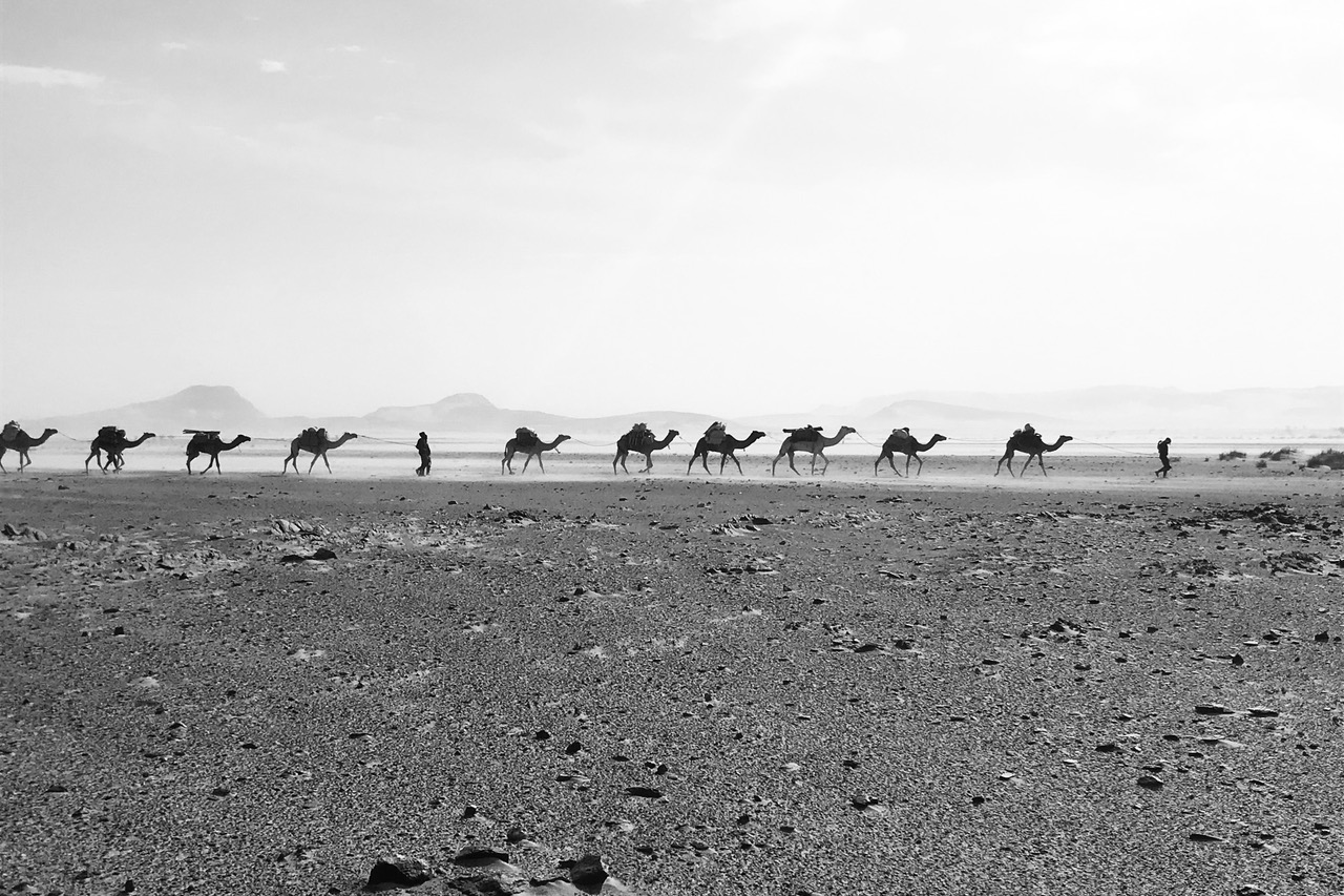 découvrez les merveilles du sable du sahara en 2025 : un voyage fascinant à travers les dunes dorées, les paysages époustouflants et la culture unique de cette région emblématique. explorez les secrets du désert et prévoyez votre aventure dès maintenant.