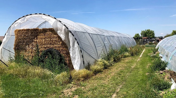 découvrez notre gamme de serres agricoles, conçues pour optimiser la croissance de vos cultures tout en les protégeant des intempéries. idéales pour les professionnels et les amateurs de jardinage, nos serres offrent un environnement contrôlé pour maximiser vos rendements.
