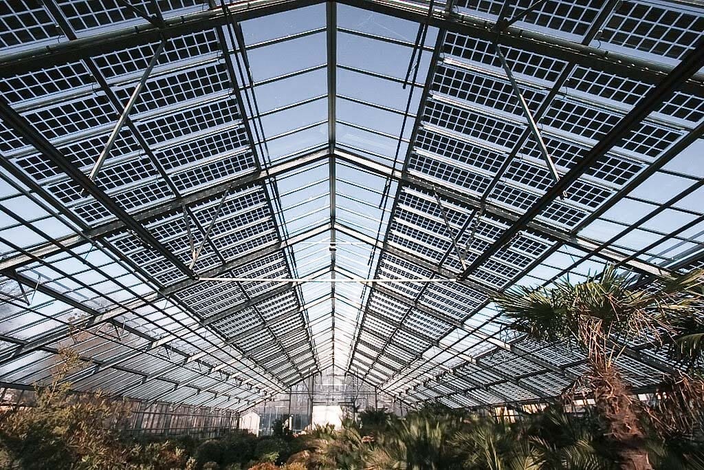 découvrez notre serre équipée de panneaux solaires, une solution idéale pour optimiser la culture en utilisant une énergie renouvelable. profitez d'une croissance végétale exceptionnel tout en préservant l'environnement et en réduisant vos coûts énergétiques.