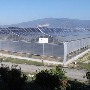 découvrez les avantages d'une serre solaire pour cultiver vos plantes tout au long de l'année. profitez d'un environnement optimisé, de l'économie d'énergie et d'une croissance améliorée grâce à cette solution innovante pour les jardiniers passionnés.