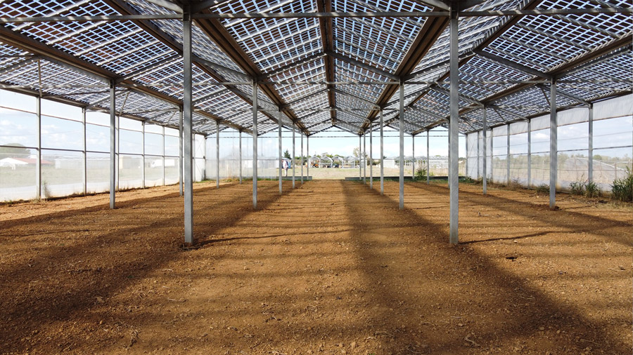 découvrez les avantages d'une serre solaire : un espace idéal pour cultiver vos plantes tout en profitant de la lumière naturelle. optimisez votre jardin grâce à une serre écologique, qui favorise la croissance tout en réduisant votre empreinte carbone.