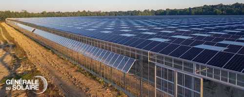découvrez les avantages d'une serre solaire pour cultiver vos plantes tout au long de l'année. optimisez votre jardinage avec une solution écologique et économique, idéale pour maximiser la chaleur et la lumière naturelle.