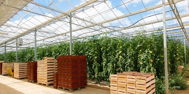 découvrez les serres solaires, une solution innovante pour cultiver vos plantes tout en économisant de l'énergie. profitez d'un environnement contrôlé, d'une croissance optimisée et d'une production durable grâce à ce système respectueux de l'environnement.