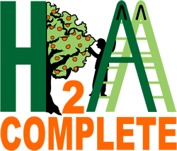 découvrez les services h2a, une expertise innovante pour répondre à vos besoins en matière de gestion et de développement. bénéficiez d'une approche personnalisée et de solutions adaptées pour maximiser vos performances et réussir vos projets.