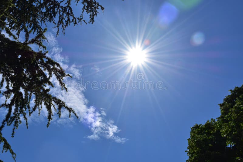 découvrez la beauté et la chaleur du soleil à midi, un moment parfait pour profiter de la nature, se ressourcer et savourer des instants de douceur en plein air.