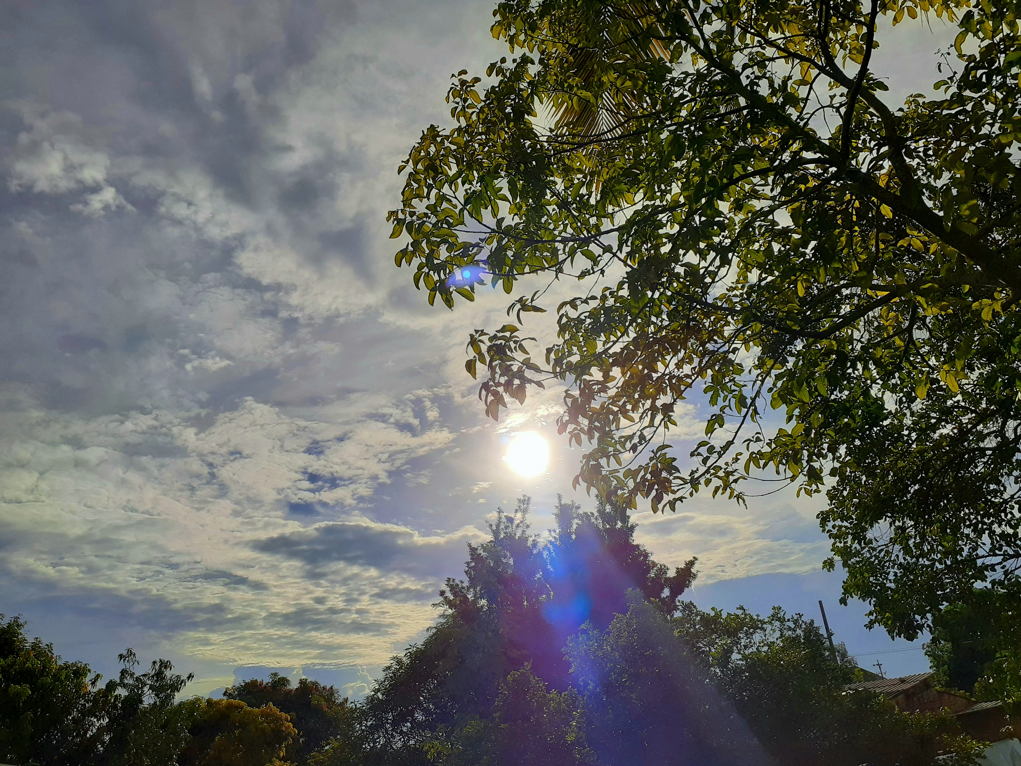 découvrez la magie du soleil à son zénith, un moment parfait pour profiter de la chaleur et de la lumière rayonnante. plongez dans des activités estivales, des promenades en plein air et des moments de détente inoubliables sous le ciel bleu.