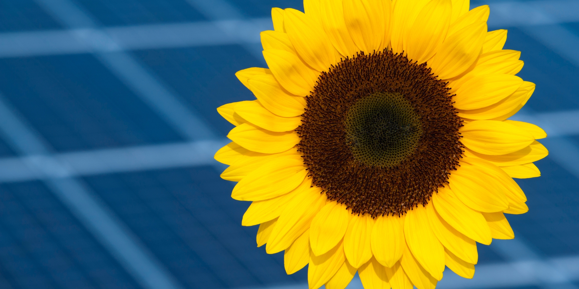 découvrez les avantages du stockage solaire pour optimiser votre consommation d'énergie. profitez d'une solution écologique et économique qui permet de stocker l'énergie solaire et d'assurer une alimentation continue même lorsque le soleil ne brille pas. transitionnez vers une énergie durable et réduisez votre empreinte carbone grâce à nos systèmes de stockage solaire innovants.