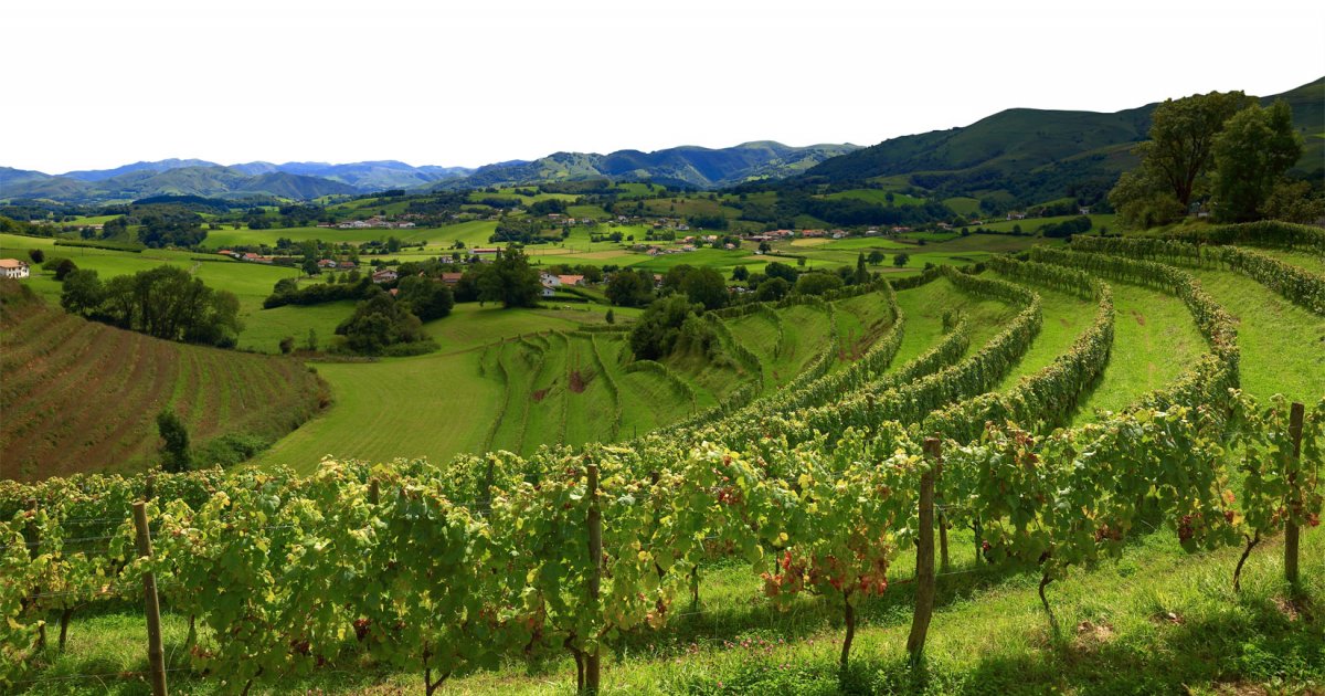 découvrez le sud-ouest de la france, une région riche en paysages variés, gastronomie savoureuse, et traditions vibrantes. explorez ses charmants villages, dégustez des spécialités locales et laissez-vous séduire par la beauté de ses paysages naturels, des montagnes aux plages.