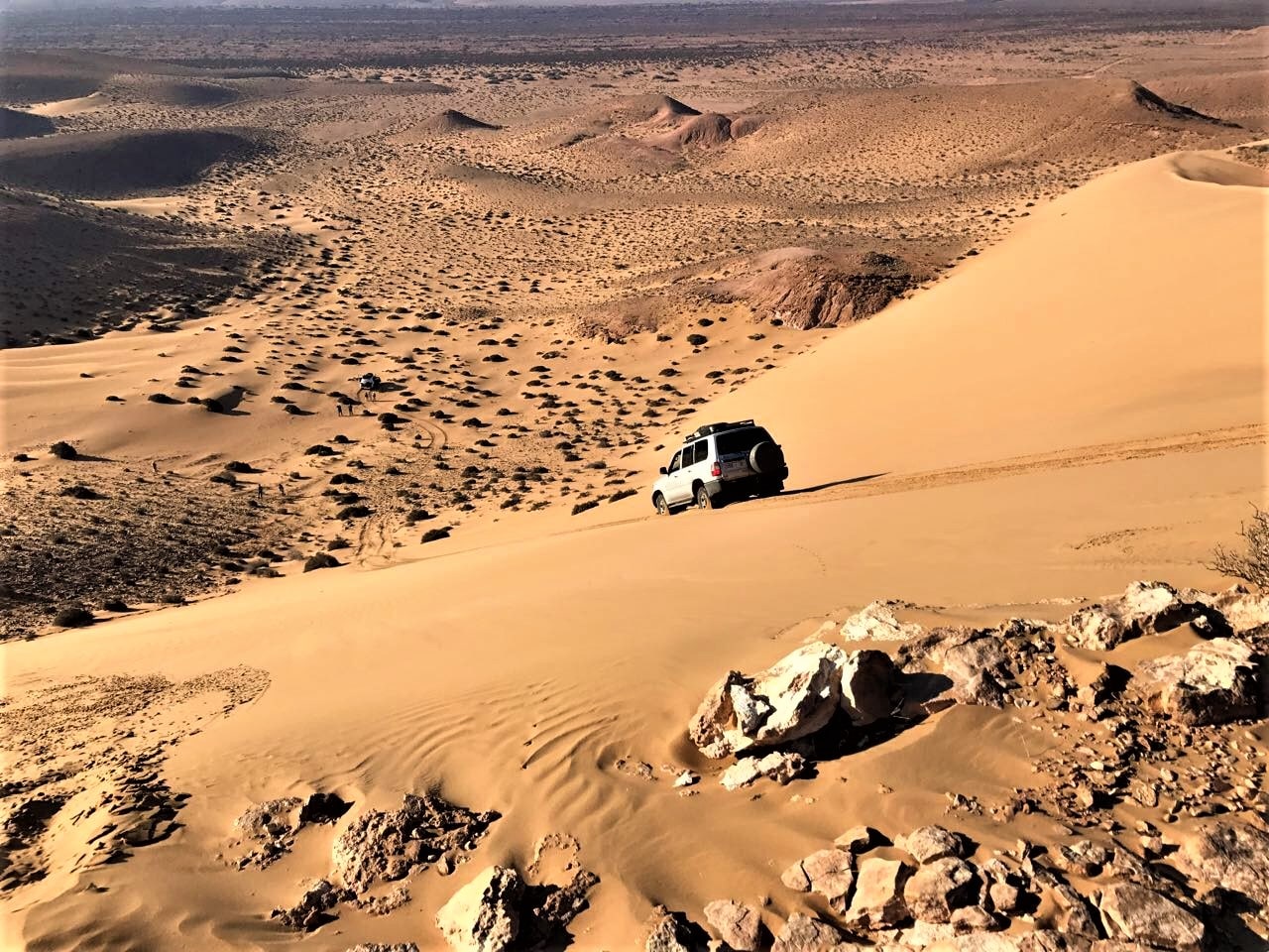 découvrez les enjeux et les perspectives fascinantes du sable du sahara en 2025. cette exploration révèle l'importance écologique, économique et culturelle de cette ressource unique dans le contexte actuel et futur.