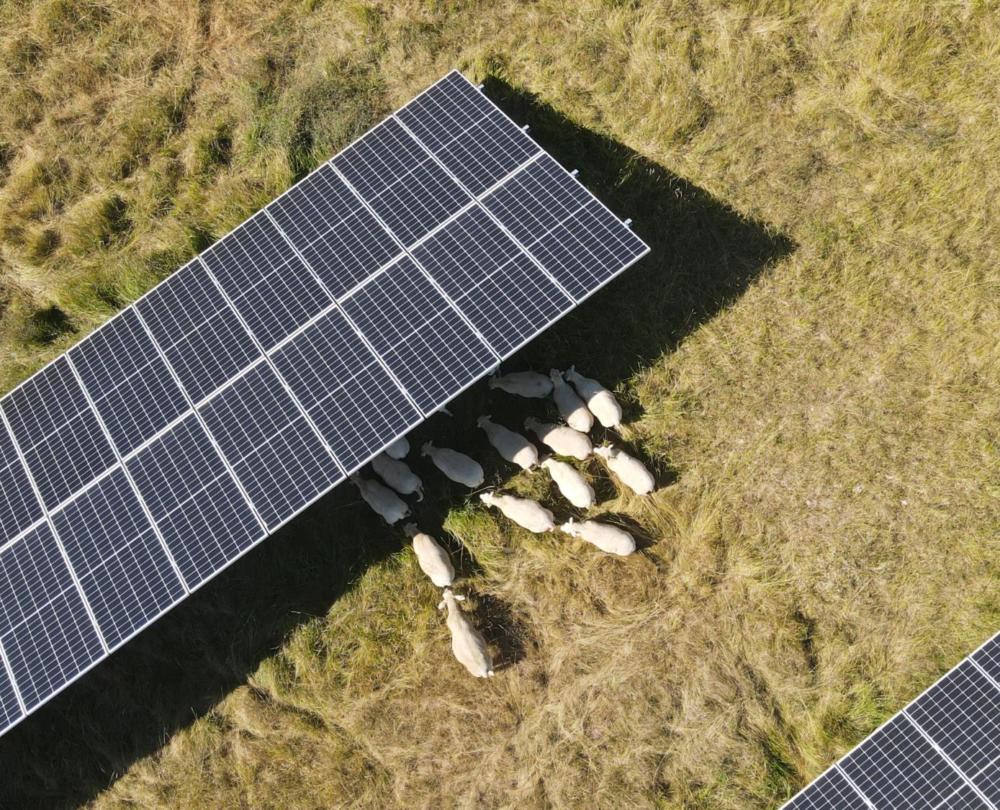 découvrez les dernières tendances en matière de panneaux solaires : innovations technologiques, designs modernes et bénéfices écologiques. informez-vous sur les solutions durables qui transforment le paysage énergétique et s'adaptent aux besoins de demain.