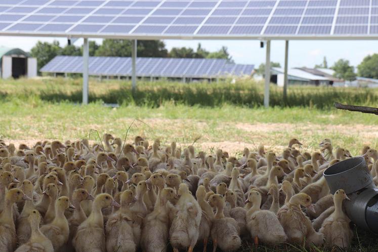 découvrez tout sur les terrains photovoltaïques : comment exploiter le potentiel du soleil pour produire une énergie renouvelable, les avantages économiques et environnementaux, ainsi que les étapes pour développer votre projet solaire.