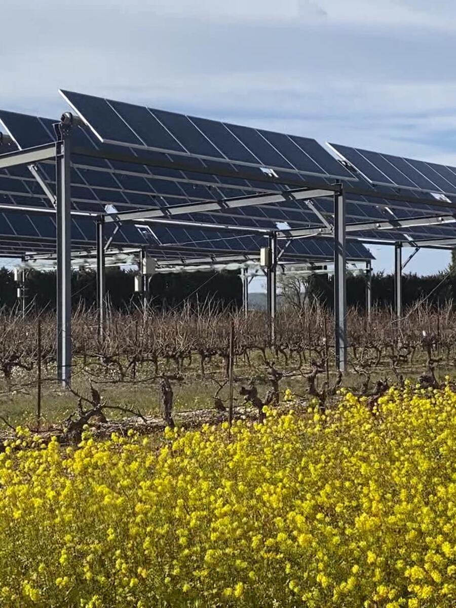 découvrez les merveilles de la terre solaire, un concept fascinant qui explore l'impact du soleil sur notre planète, ses écosystèmes, et les énergies renouvelables qui en dérivent. plongez dans l'univers de l'énergie solaire et son rôle crucial dans la préservation de notre environnement.