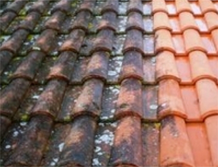découvrez comment identifier et réparer un toit abîmé pour protéger votre maison des intempéries. suivez nos conseils pratiques et évitez des coûts de rénovation élevés grâce à une intervention rapide.