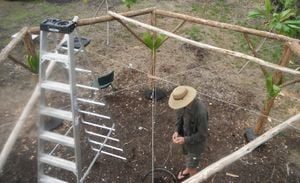 découvrez l'architecture innovante du toit réciproque, un design durable et esthétique qui optimise l'espace tout en offrant une excellente résistance. idéal pour les constructions écologiques, ce type de toiture allie tradition et modernité, apportant luminosité et originalité à vos projets.