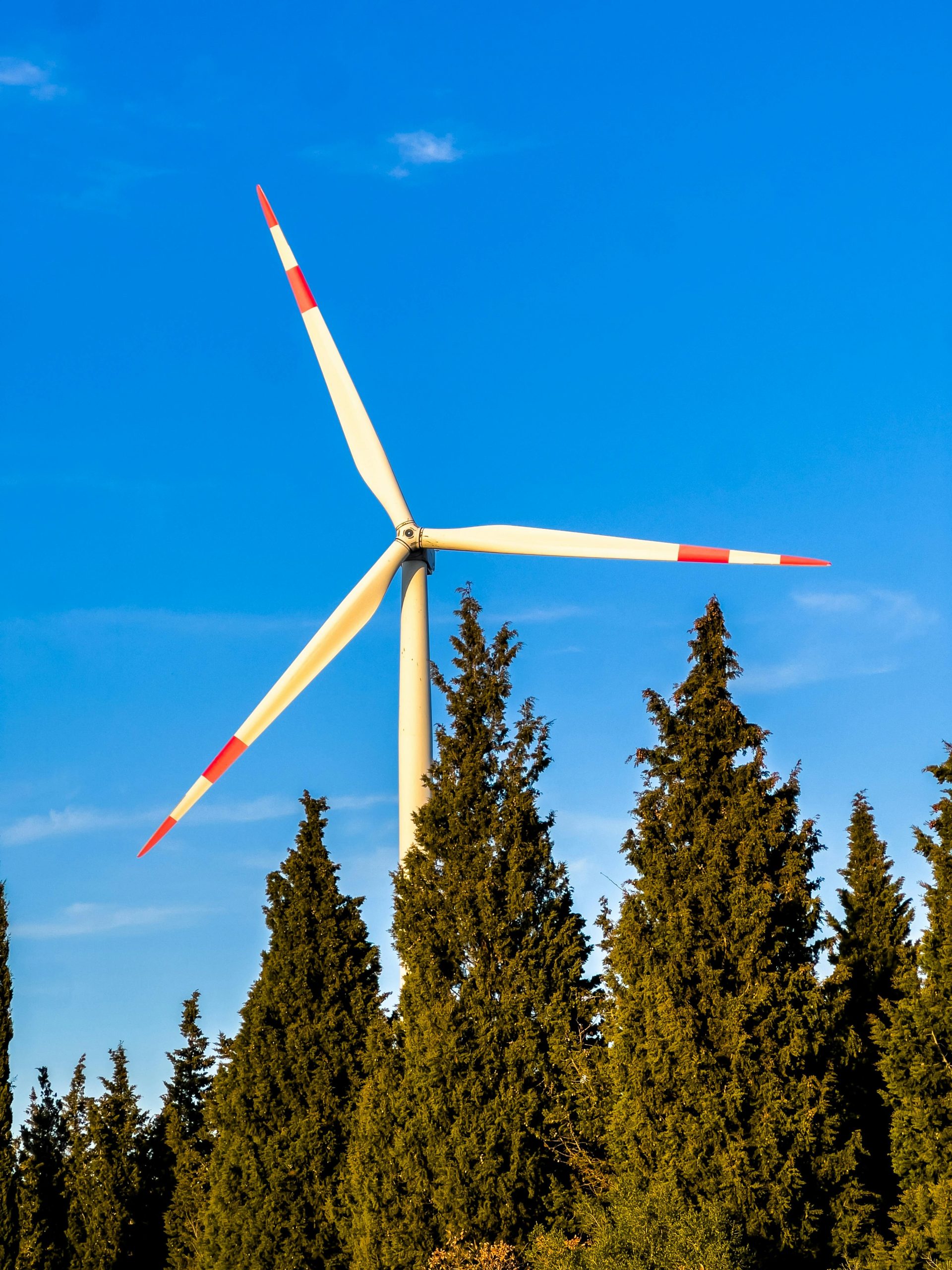 découvrez l'univers fascinant des turbines photo, leur fonctionnement, leurs applications et les avancées technologiques qui révolutionnent le secteur de la photo. plongez dans l'innovation et l'efficacité de ces dispositifs captivants.