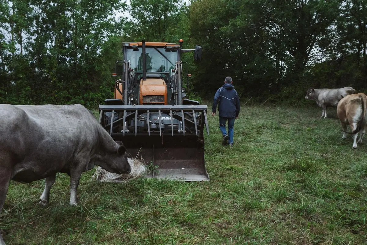 découvrez l'importance de la valeur d'exploitation agricole, un indicateur clé pour évaluer la rentabilité et la durabilité des exploitations agricoles. apprenez à optimiser vos ressources et à maximiser vos profits dans le secteur agricole.