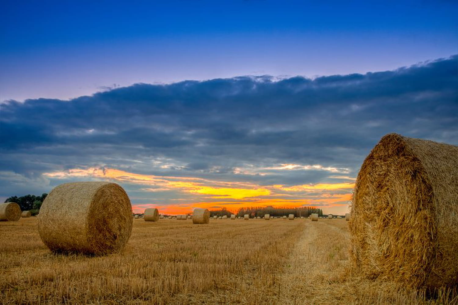découvrez comment valoriser votre terrain agricole efficacement. optimisez son potentiel économique grâce à des stratégies adaptées et des conseils d'experts en agriculture. transformez votre terrain en un atout rentable !