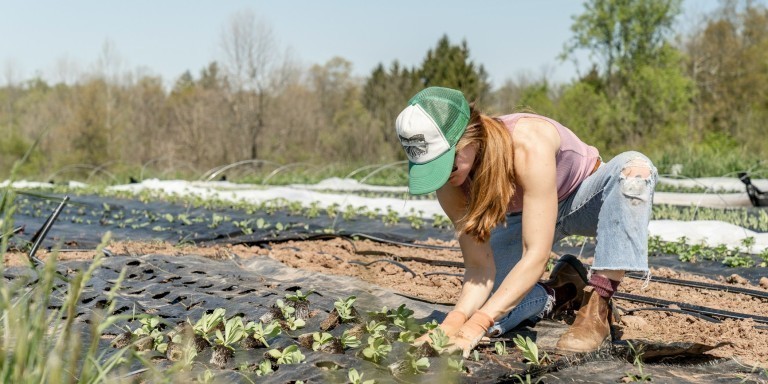 découvrez comment valoriser votre terrain agricole grâce à des conseils pratiques, des techniques efficaces et des solutions innovantes pour maximiser sa productivité et sa rentabilité.