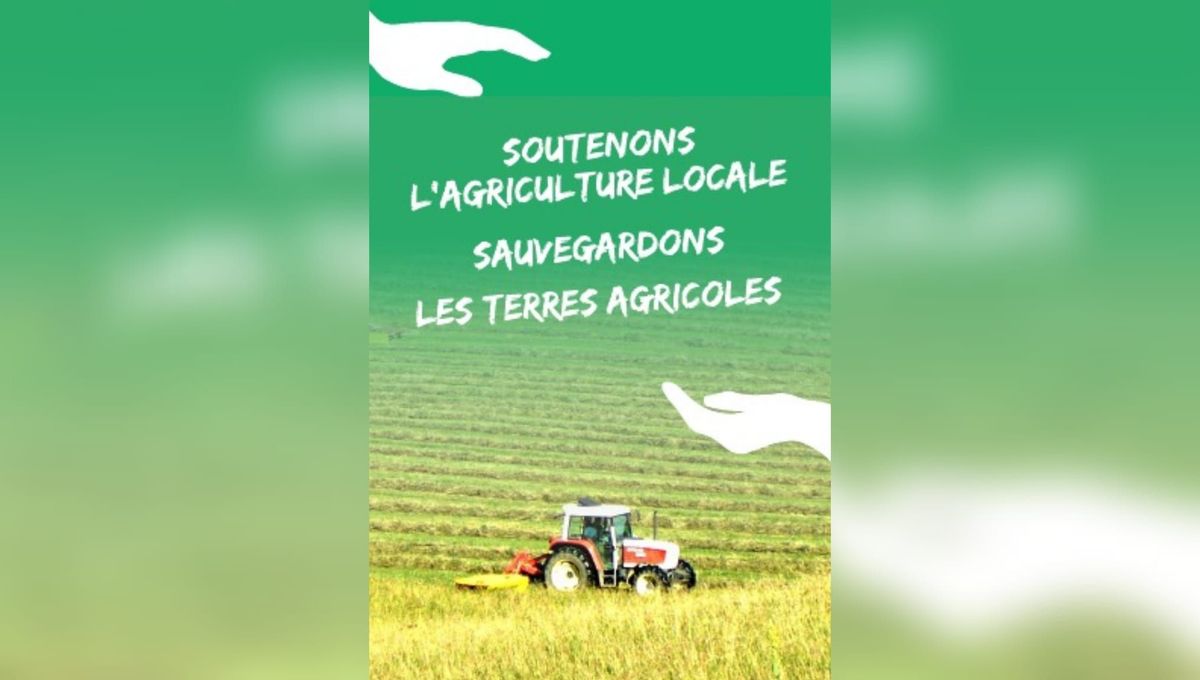 découvrez comment valoriser votre terrain agricole grâce à des techniques durables et innovantes, maximisez son potentiel et augmentez votre rendement tout en respectant l'environnement.