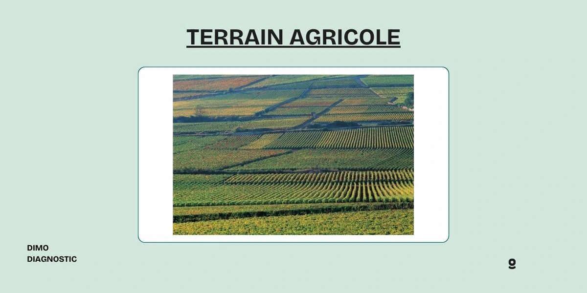 découvrez des stratégies efficaces pour valoriser votre terrain agricole, augmenter sa productivité et maximiser sa rentabilité tout en respectant l'environnement.