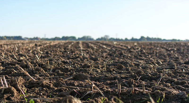 découvrez notre plateforme dédiée à la vente agricole, où vous pouvez acheter et vendre des produits agricoles de qualité. profitez d'une large gamme d'équipements, de semences, et de services pour optimiser votre exploitation.