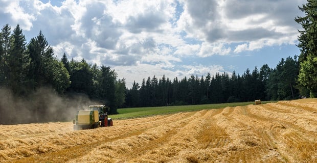découvrez notre plateforme de vente agricole, où vous pouvez trouver une large sélection de produits et équipements pour agriculteurs. profitez de prix compétitifs, de conseils d'experts et d'un service client à l'écoute de vos besoins.
