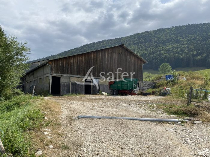 découvrez notre plateforme de vente agricole, dédiée à la mise en relation entre producteurs et consommateurs. profitez d'une large sélection de produits frais, biologiques et locaux, tout en soutenant l'agriculture responsable et durable.