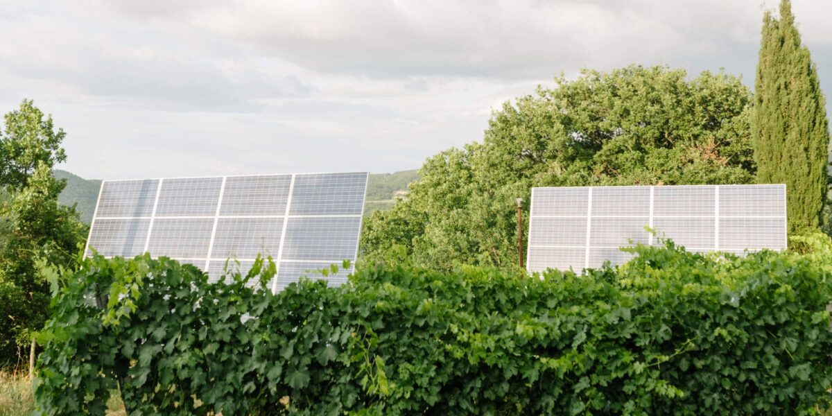 découvrez notre offre de vente de fermes solaires, des installations énergétiques durables et rentables idéales pour produire de l'électricité verte. investissez dans l'avenir avec nos solutions innovantes et écoresponsables.