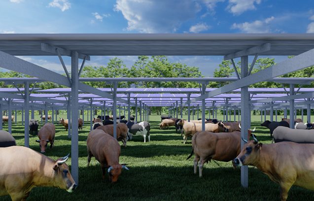 découvrez notre offre exceptionnelle de vente de fermes solaires. investissez dans des énergies renouvelables et profitez d'une rentabilité durable tout en préservant l'environnement. optez pour une énergie propre et rentable dès aujourd'hui!