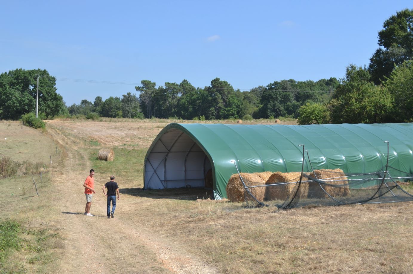 découvrez nos abris agricoles adaptés à vos besoins pour protéger vos cultures et votre matériel. conçus pour résister aux intempéries, nos abris offrent une solution durable et efficace pour les agriculteurs et les éleveurs.