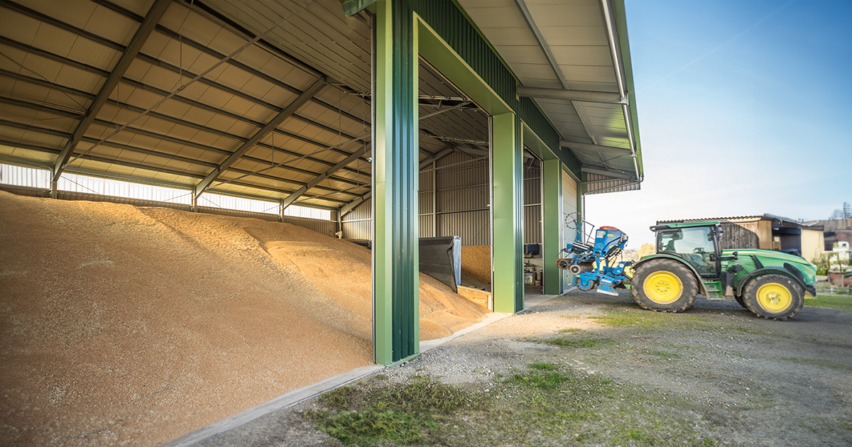 découvrez comment un abri agricole économique peut optimiser votre exploitation tout en réduisant vos coûts. offrant une protection efficace pour vos cultures et votre matériel, cet abri est idéal pour les agriculteurs soucieux de leur budget. profitez d'une solution durable et rentable pour vos besoins agricoles.