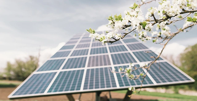 découvrez notre guide complet sur l'achat de panneaux photovoltaïques. apprenez comment choisir le meilleur système pour votre maison, profiter des aides financières disponibles et réduire votre facture d'électricité tout en contribuant à la protection de l'environnement.