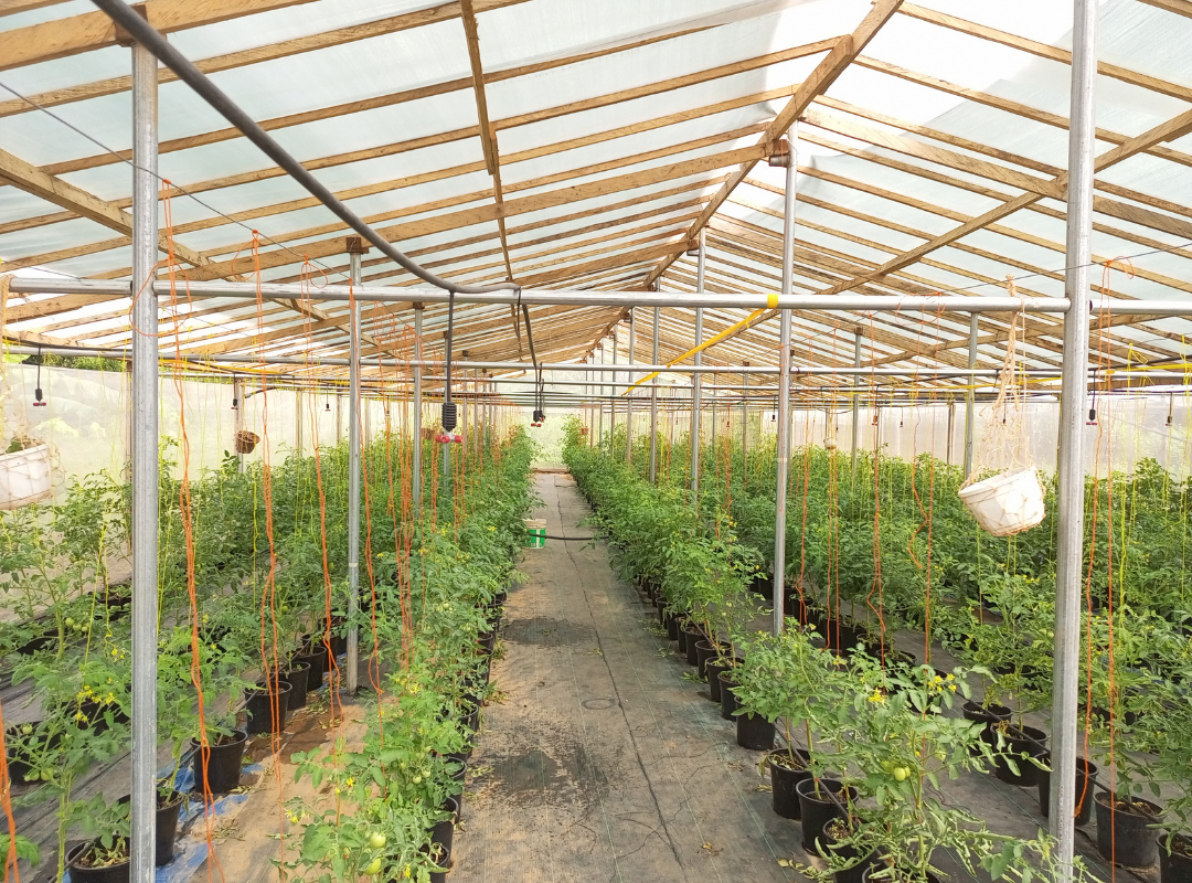 découvrez des stratégies et des pratiques pour maximiser la rentabilité de votre exploitation agricole. apprenez à optimiser vos ressources, réduire vos coûts et améliorer vos rendements grâce à des techniques innovantes et durables.